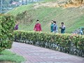 Tn dsc 4578